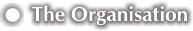 The Organisation